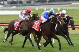 Hamilton Betting Tips