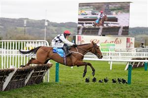 Cheltenham Festival 2025 Tips - Willie's novice offers value in competitive Turners