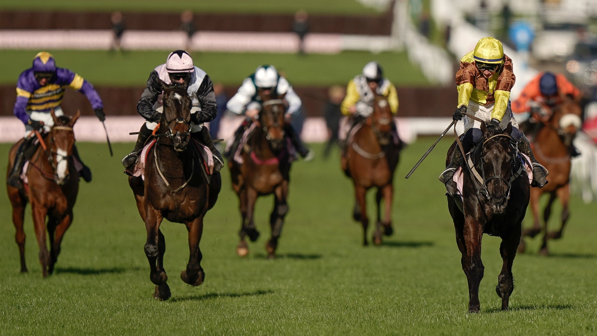 2025 Gold Cup Entries Record low of 19 entries for Cheltenham