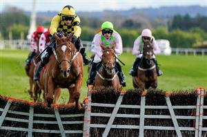 punchestown hurdle