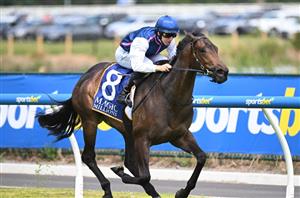 Magic Millions 2yo Classic Tips
