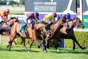 Ascot Racing