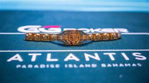 WSOP Paradise Main Event Winners