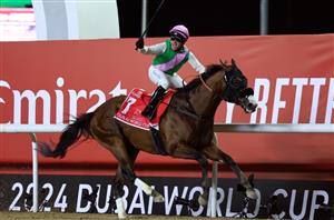 dubai world cup meydan