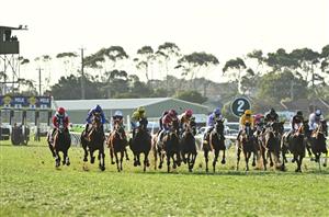 Warrnambool Tips for 12.01.2025