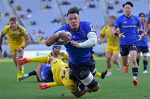 Wild Knights rugby