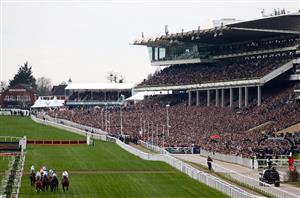 cheltenham festival stands