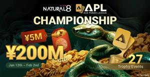 APL Championship 2025
