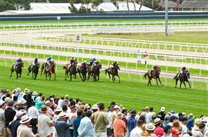 Geelong Tips for 15.01.2025