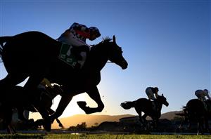 Ipswich Tips for 15.01.2025