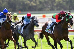 Strathalbyn Tips for 15.01.2025