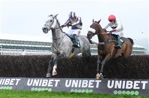 Cheltenham Festival 2025 Tips - Pipe's grey the perfect fit for the Ultima