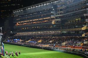 Happy Valley Tips for 15.01.2025