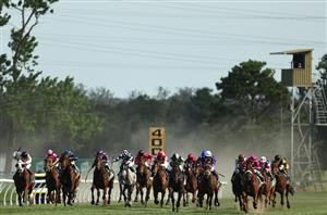 Kembla Grange Tips for 16.01.2025
