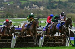 2025 Supreme Novices' Hurdle Odds - Salvator Mundi the early favourite