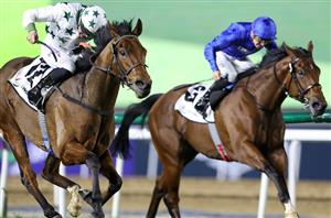 Meydan Tips on January 17th - Dubai World Cup Carnival 2025 Week 3 Tips