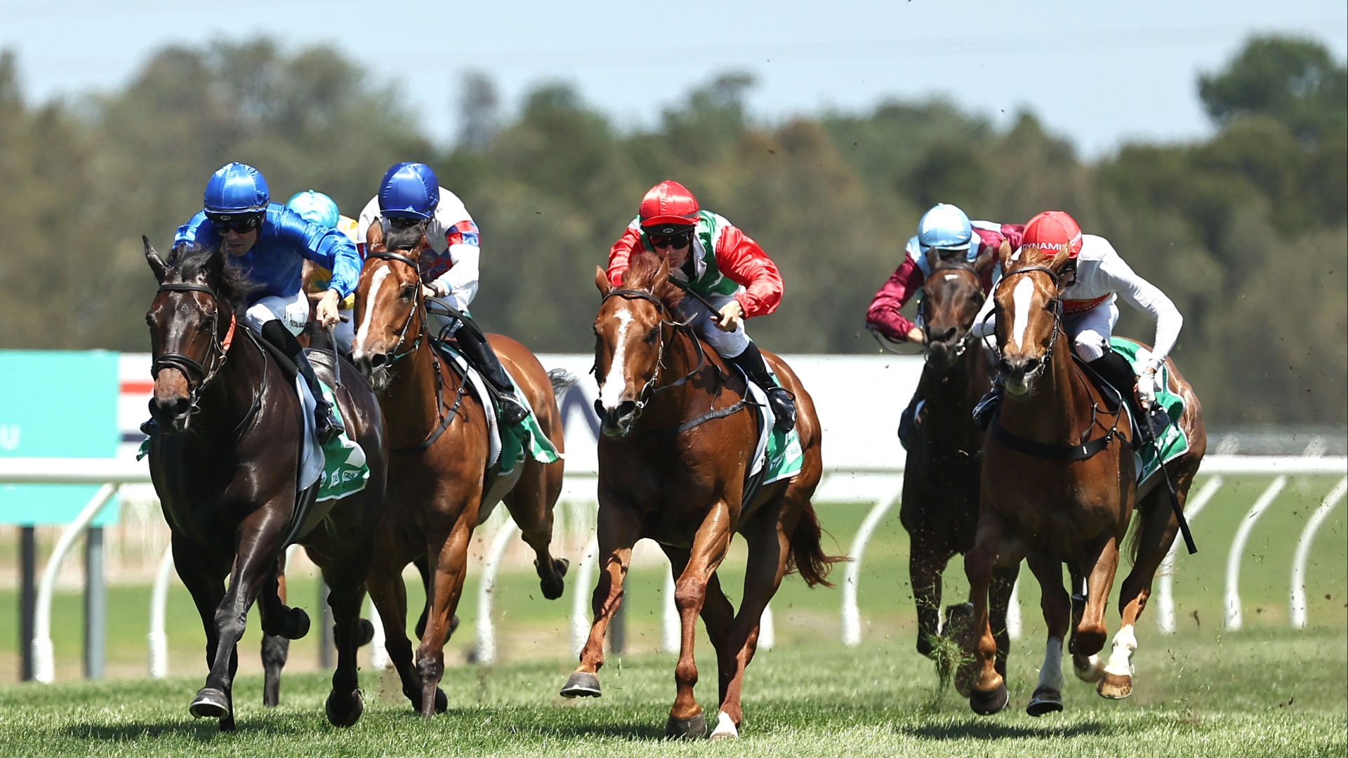 Tamworth Betting Tips for January 23, 2025 Dale to breakthrough