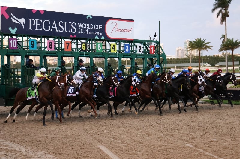 2025 Pegasus World Cup Tips Cox's frontrunner can steal the