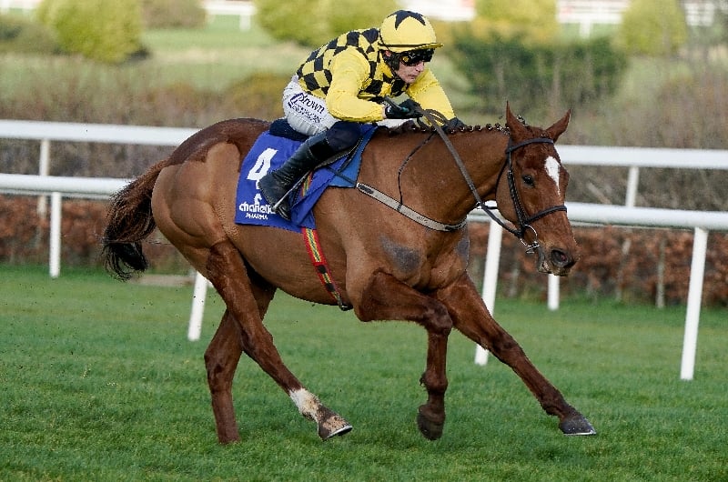 state man leopardstown