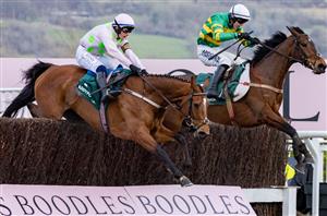 2025 Mares' Chase Odds - Dinoblue and Bioluminescence top Festival market