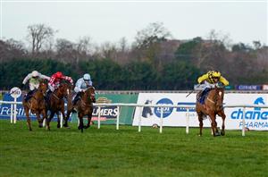 2025 Irish Champion Hurdle Tips - State Man to bounce back with Townend in the saddle?