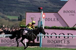 Bet365 Super Boost - Get EVENS on Galopin Des Champs to win the Irish Gold Cup
