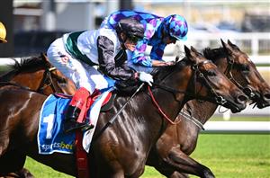 C F Orr Stakes Tips - Familiar name to fire over the 1400m at Caulfield in the Group 1 C F Orr Stakes