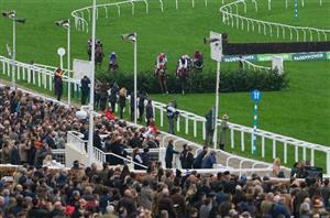 2025 Cross Country Chase Odds - Stumptown favourite for unique Festival handicap
