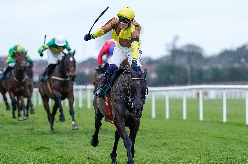 galopin des champs
