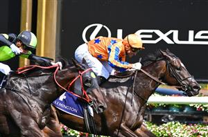 Black Caviar Lightning Tips - Rising star to be hard to beat, while a 1000m specialist looms as value