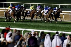 Meydan Tips on February 14th - Dubai World Cup Carnival 2025 Week 7 Tips