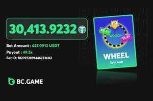 30K Tether Wheel Big Win At BCGame