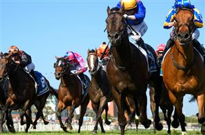 Oakleigh Plate Tips - Jimmy to Star as the sprinters scorch around Caulfield at Group 1 level in the Oakleigh Plate
