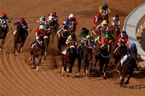 saudi cup riyadh horse
