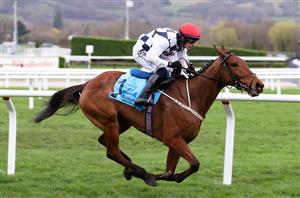 Brown Advisory Novices' Chase 2025 - Is Ballyburn the Irish banker on day two?