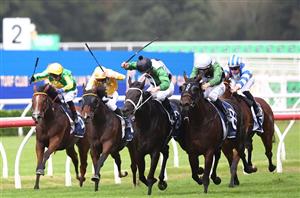 Verry Elleegant Stakes Tips - Via Sistina set to bounce back after first up defeat