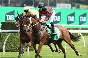 Surround Stakes Tips - Runner-by-Runner Guide for the Randwick Group 1