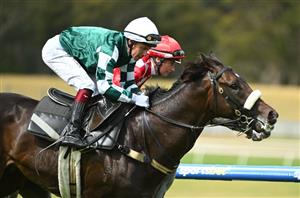 Australian Guineas Tips - Runner-by-Runner Guide for the Flemington Group 1