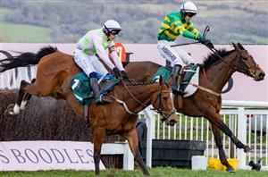 Mares' Chase 2025 - Is Dinoblue unbeatable on Gold Cup day?
