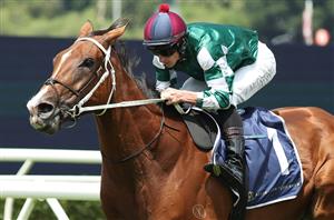 Verry Elleegant Stakes Tips - Runner-by-Runner Guide for the Randwick Group 1