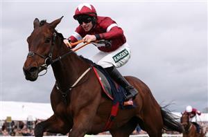 "We're going to go for the Champion Hurdle" - Brighterdaysahead to take on Constitution Hill at Cheltenham