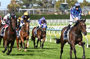 All-Star Mile Tips - Mr Brightside to edge them out in what shapes as a thrilling All-Star Mile