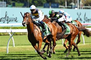 Canterbury Stakes Tips - Sunshine In Paris can overcome the wide barrier in Canterbury Stakes