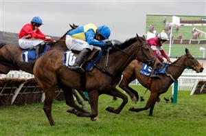 Coral Cup 2025 - Odds, key trends and two runners to keep on-side