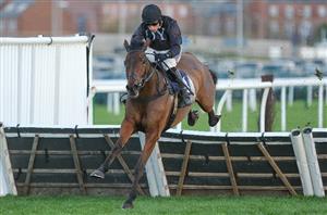 2025 Turners Novices' Hurdle Live Stream - Watch this Cheltenham Festival race online