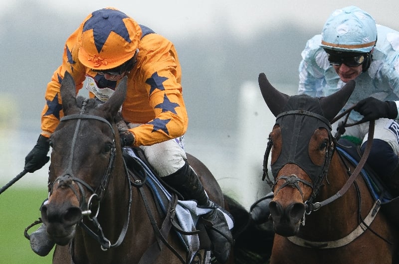 take no chances ascot