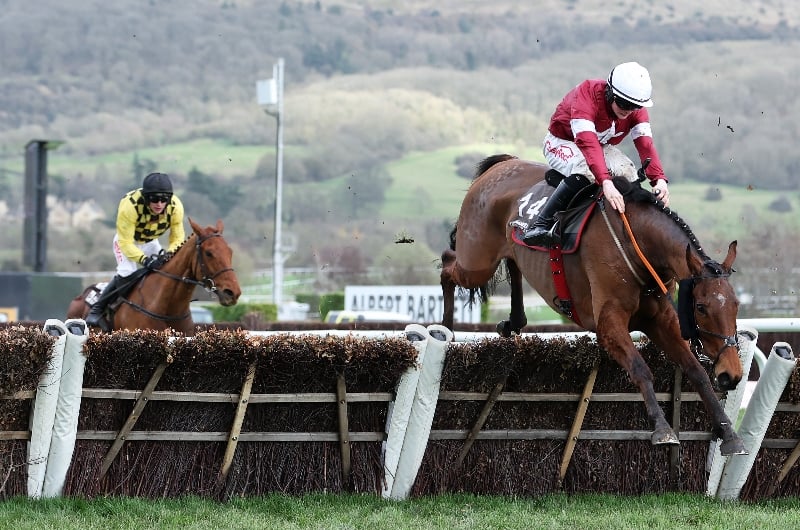 stellar story cheltenham