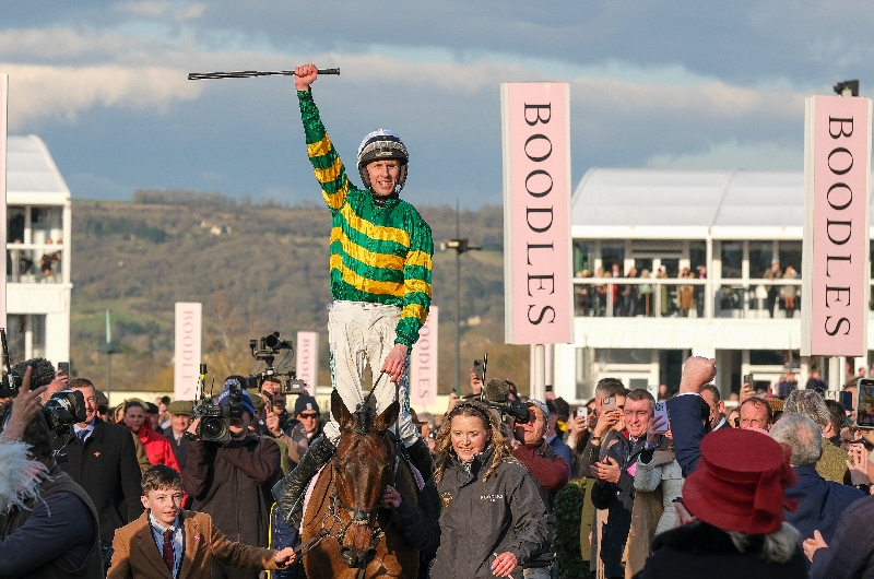 cheltenham cheltenham