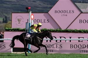 galopin des champs cheltenham gold cup