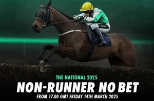 bet365 go Non-Runner No Bet on the 2025 Grand National